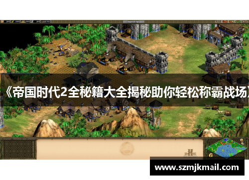 《帝国时代2全秘籍大全揭秘助你轻松称霸战场》