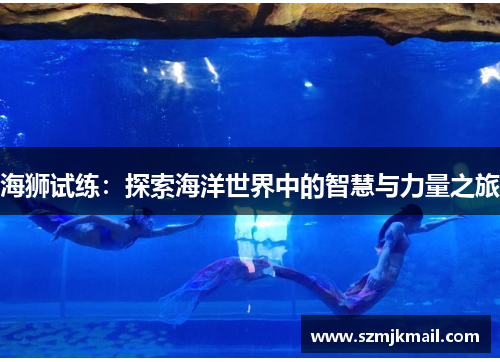 海狮试练：探索海洋世界中的智慧与力量之旅